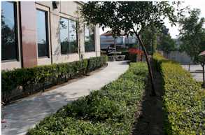 Walkway 
